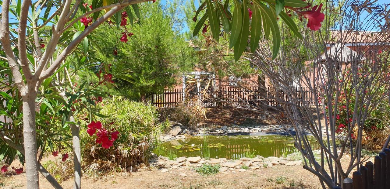 Maison Climatisee Avec Piscine Chauffee Calvisson Luaran gambar